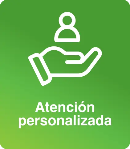 Servicio diseñado exclusivamente para tu negocio