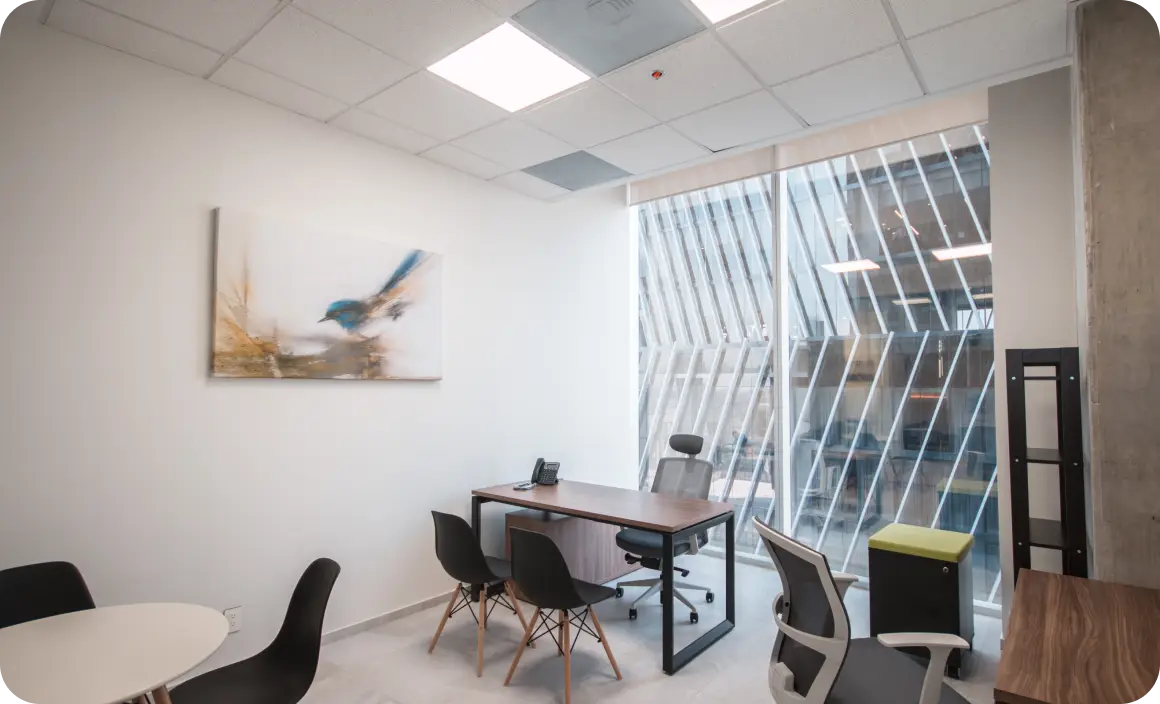 Domicilio fiscal y comercial