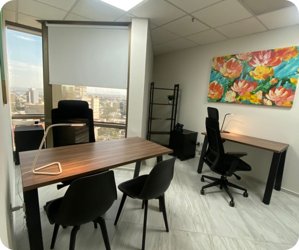 Imagen de la galeria