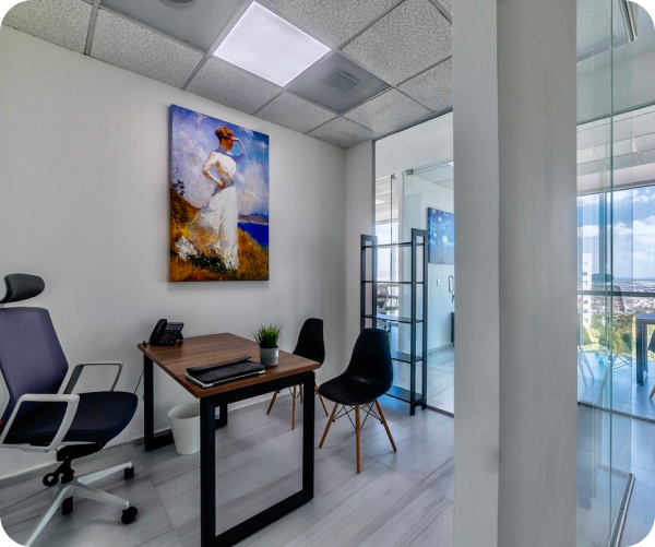 Imagen de la galeria