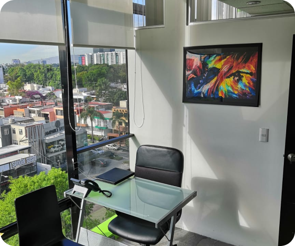 Imagen de la galeria